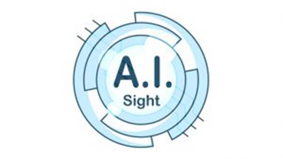 A.I. Sight for Visual Impairment