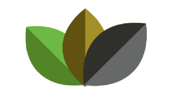 Green Ashes