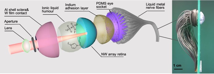 AI-Vision Optoelectronics